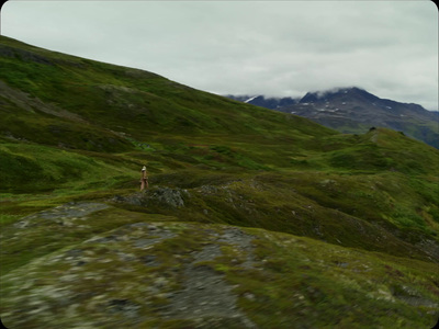 a person standing on top of a lush green hillside