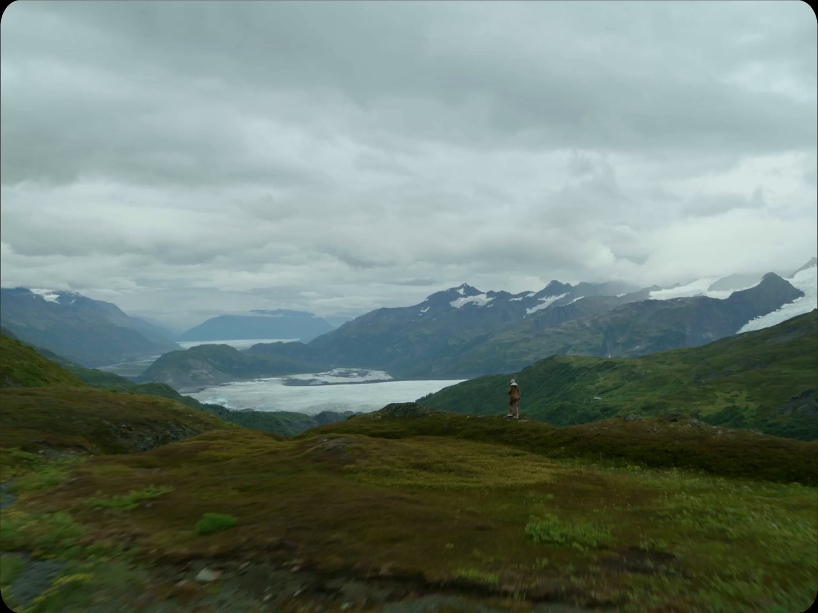 a person standing on top of a lush green hillside