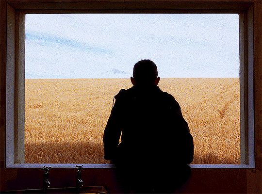 a man standing in front of a window in a wheat field