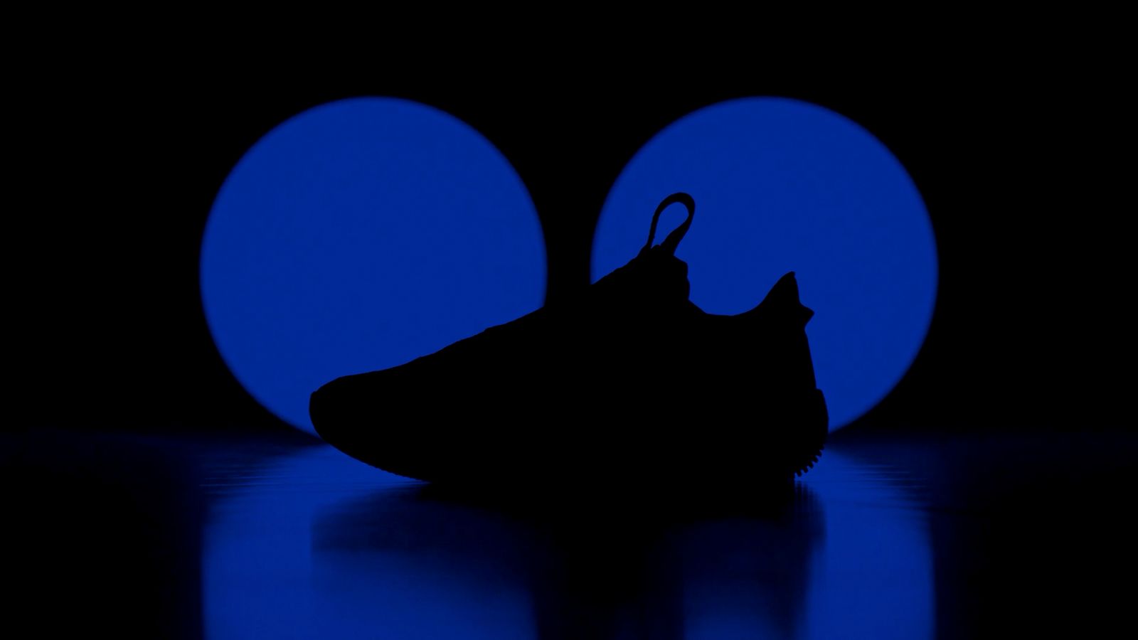 a black and blue photo of a shoe