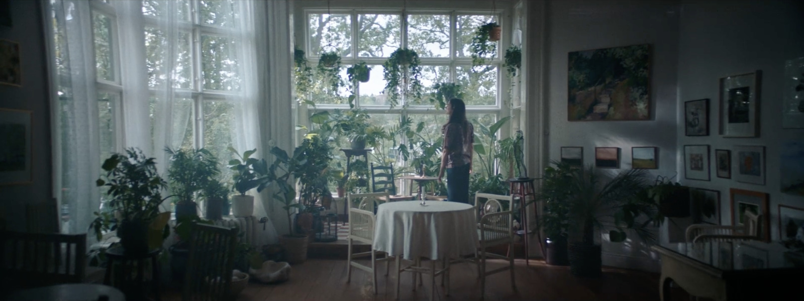 a room filled with lots of potted plants next to a window