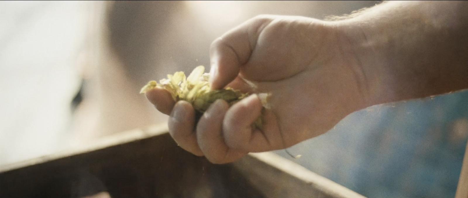 a person holding a piece of food in their hand