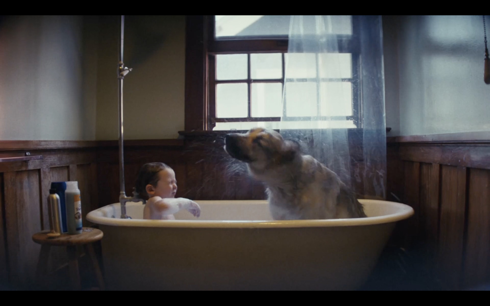 a baby and a dog in a bathtub