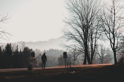 a person standing in the middle of a park