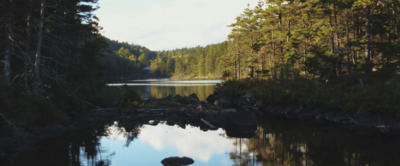 a body of water surrounded by trees and rocks