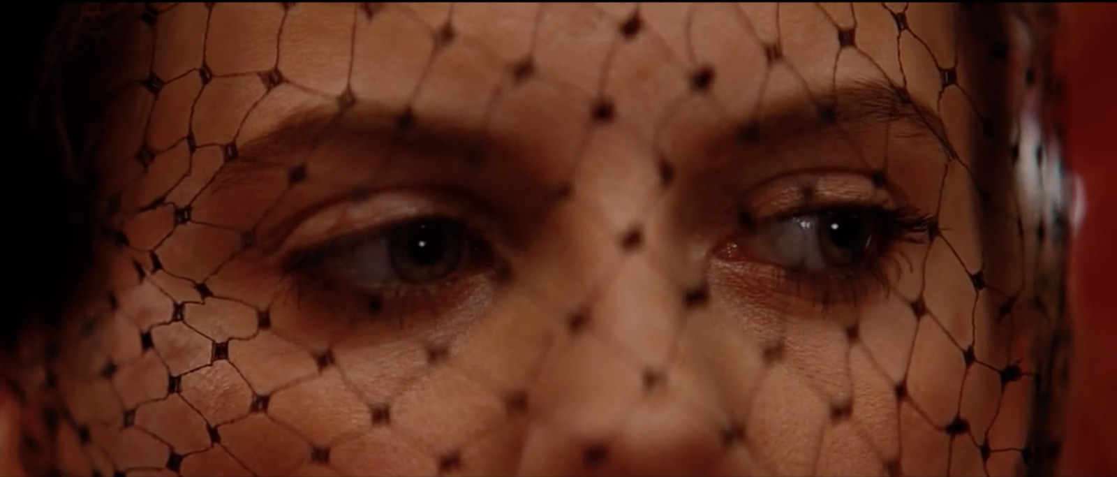 a close up of a woman's face with a net covering her face