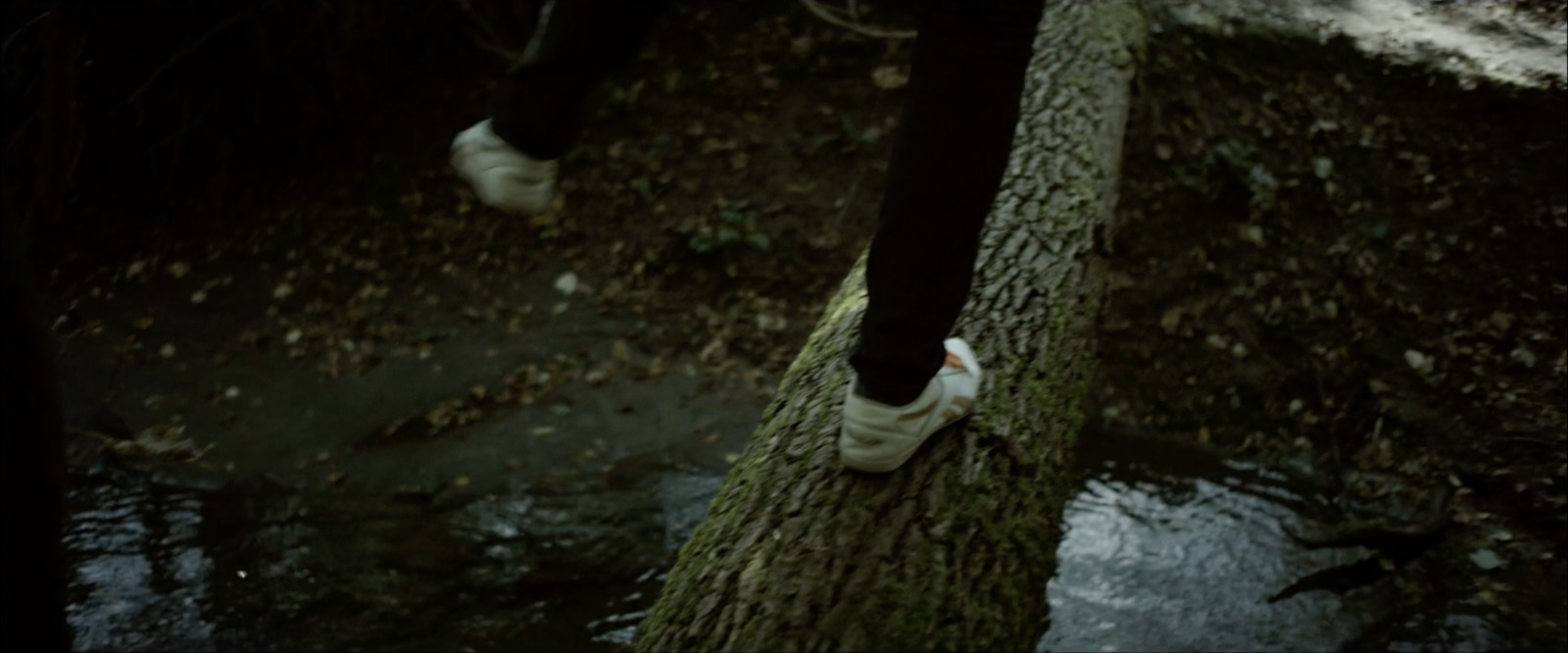 a person standing on a tree trunk in the rain