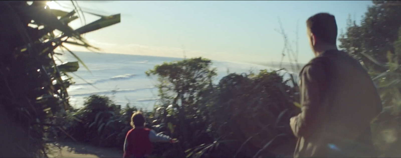 a couple of people standing on top of a lush green hillside