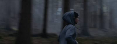 a person in a hooded jacket walking through a forest