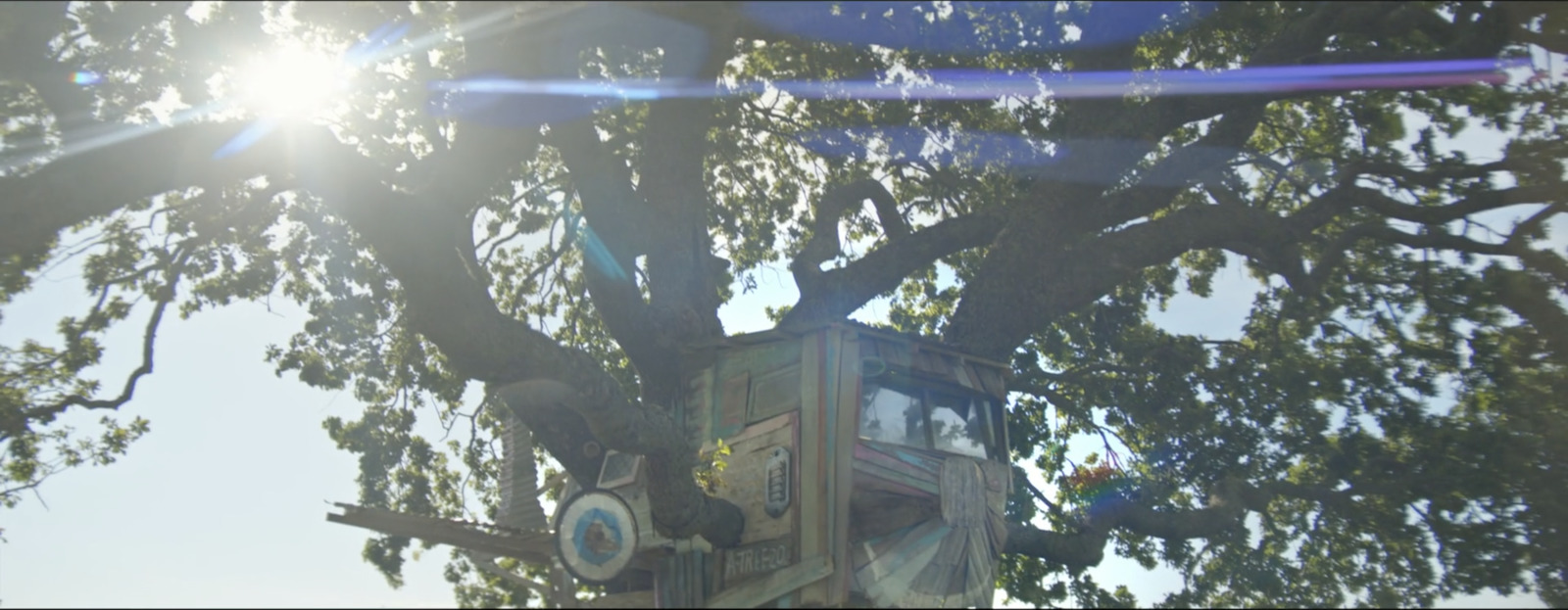 a large tree with a clock on the top of it