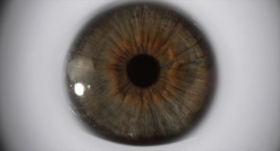 a close up of an eye with a brown iris