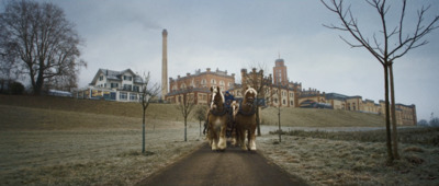 a group of people riding on the backs of horses