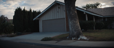 a house with a tree in front of it