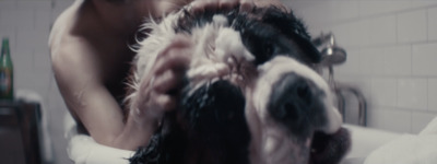 a dog getting its hair washed in a bathtub