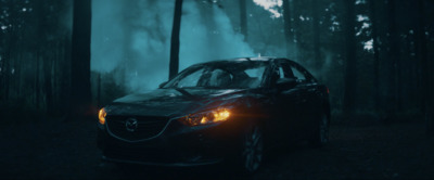 a car driving through a forest filled with trees