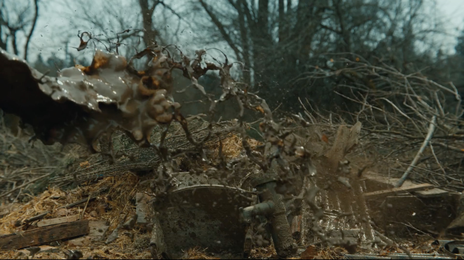 a bird flying over a pile of trash in a forest