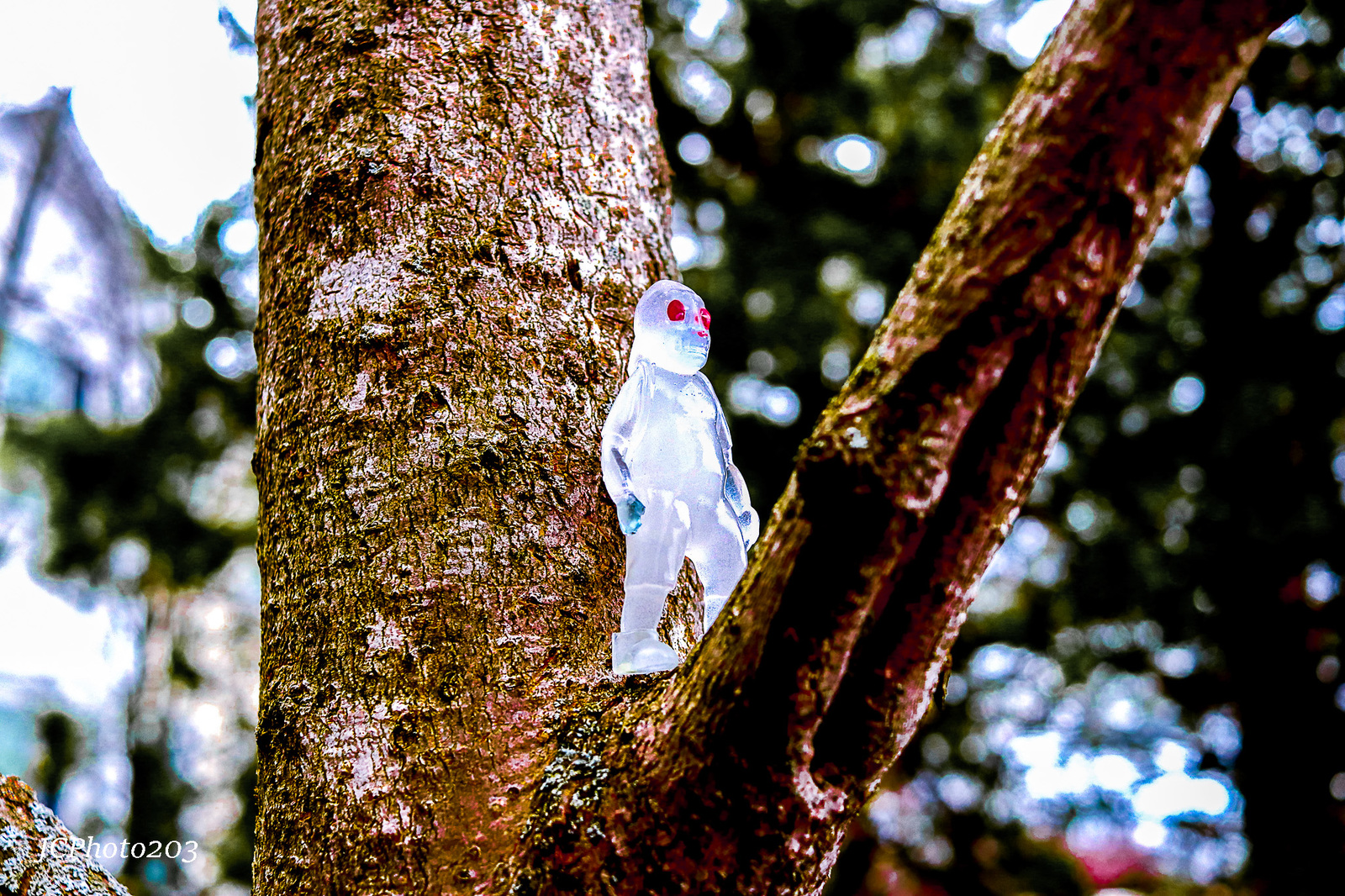 a piece of plastic sitting on the side of a tree