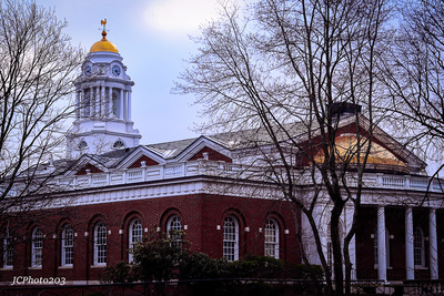 a red brick building with a white and gold dome