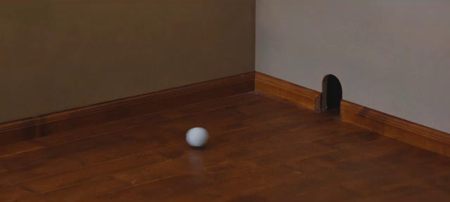 a white ball sitting on top of a hard wood floor