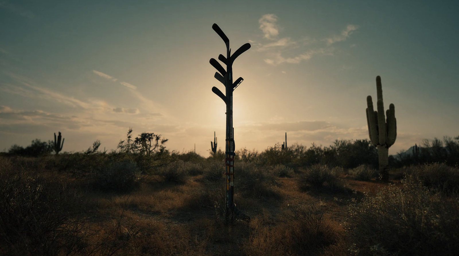 the sun is setting behind a tall cactus