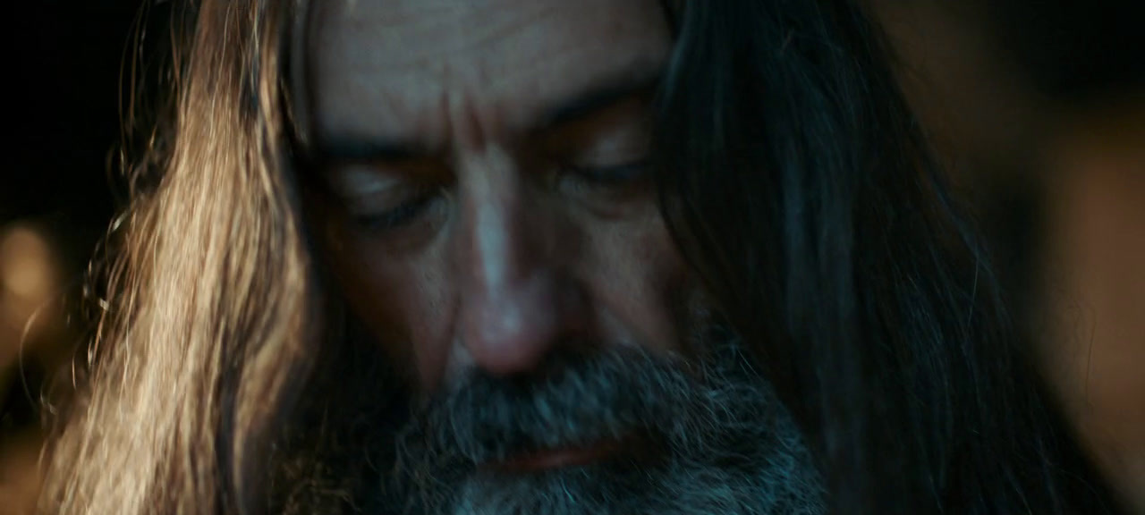 a close up of a man with long hair and a beard