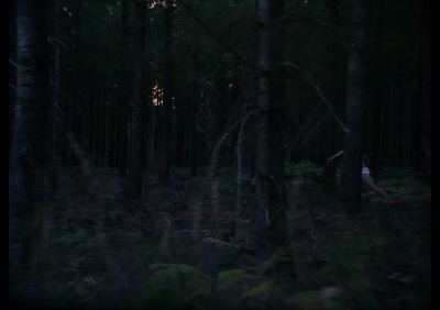 a blurry photo of a forest at night