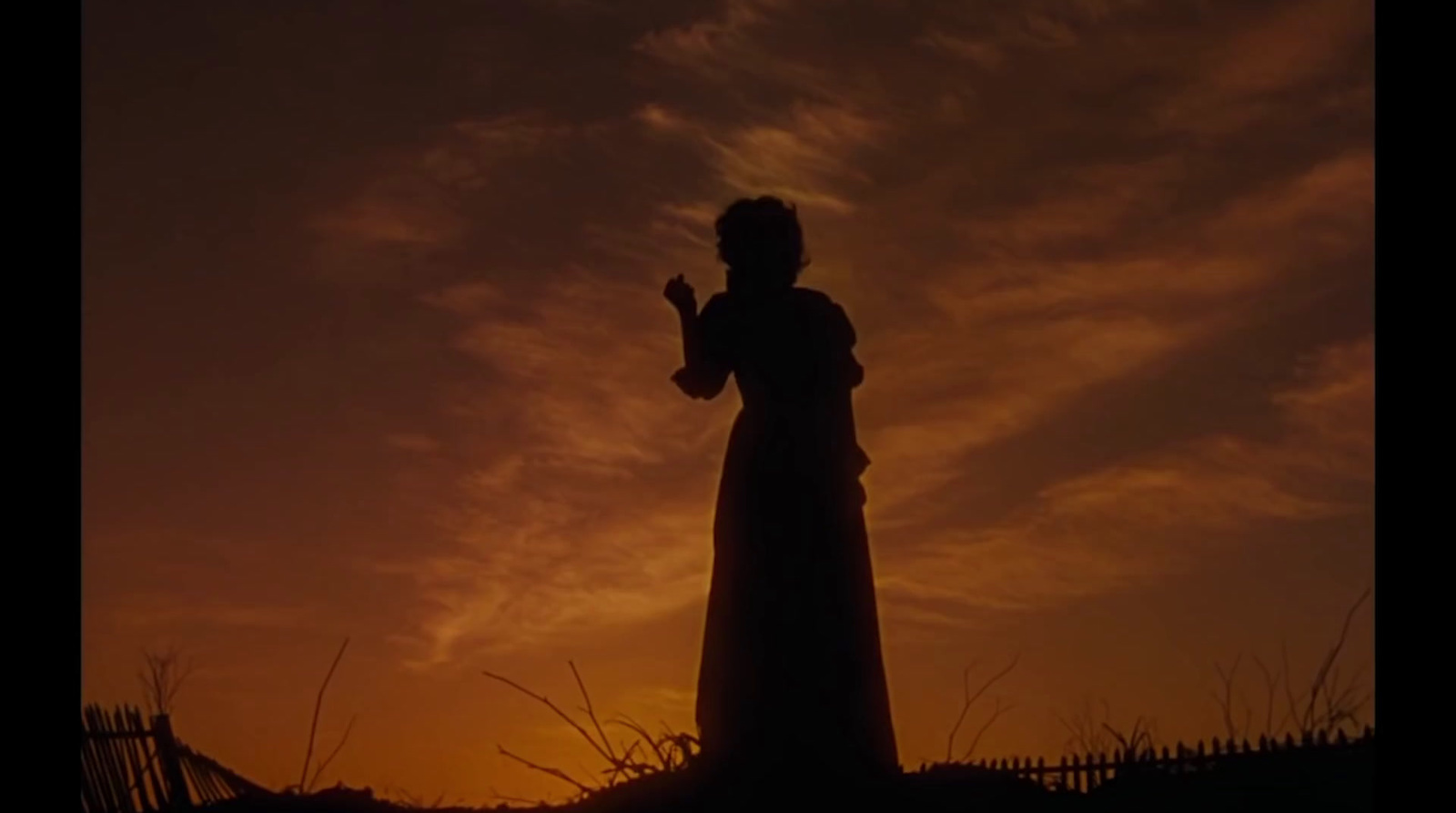 a silhouette of a woman standing in a field at sunset