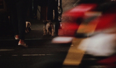 a blurry photo of a person walking a dog