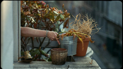 a person holding a potted plant on a ledge