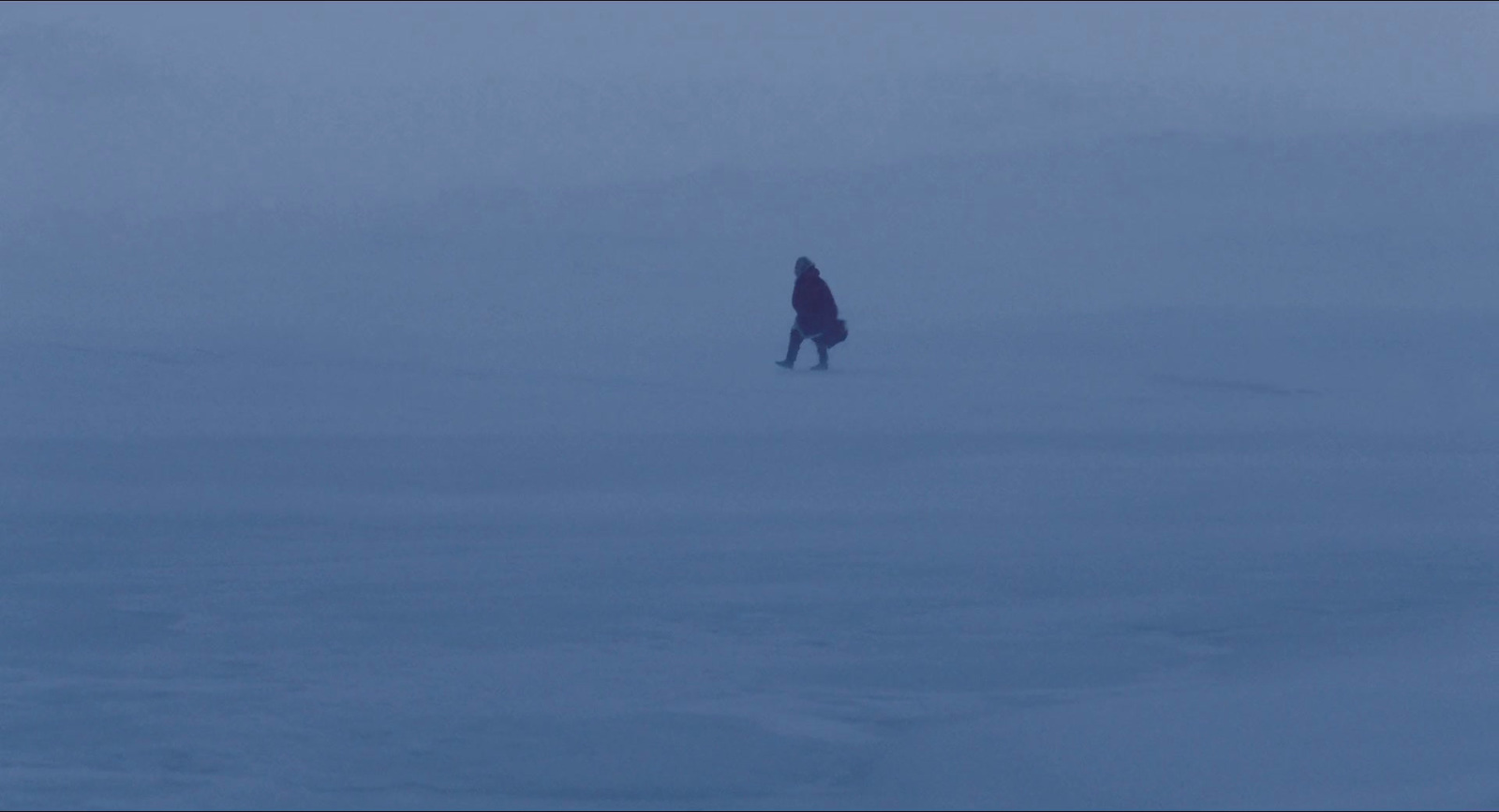 a person standing in the middle of a snow covered field