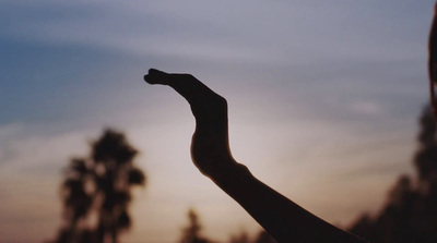 a silhouette of a giraffe in front of a sunset