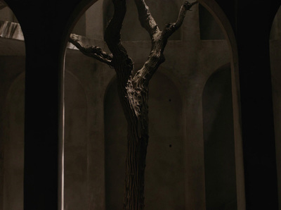 a bare tree in a dimly lit room