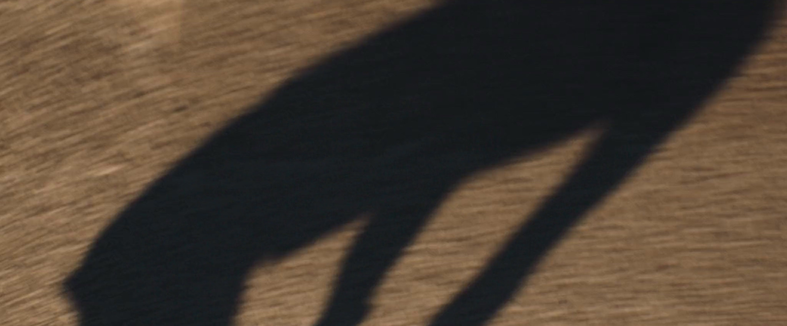 a shadow of a person holding a skateboard