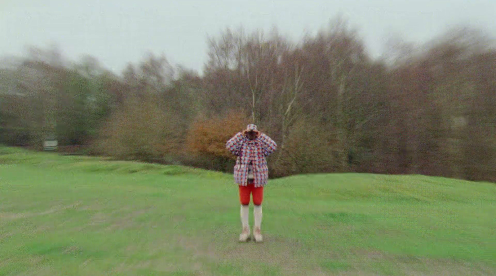 a person standing in a field holding a kite