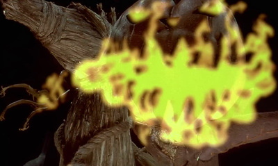 a close up of a tree trunk with yellow flames coming out of it