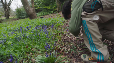 a man walking through a lush green forest