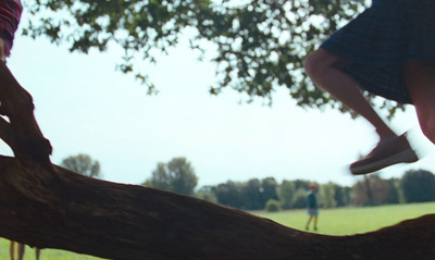 a person jumping off a tree branch in a park