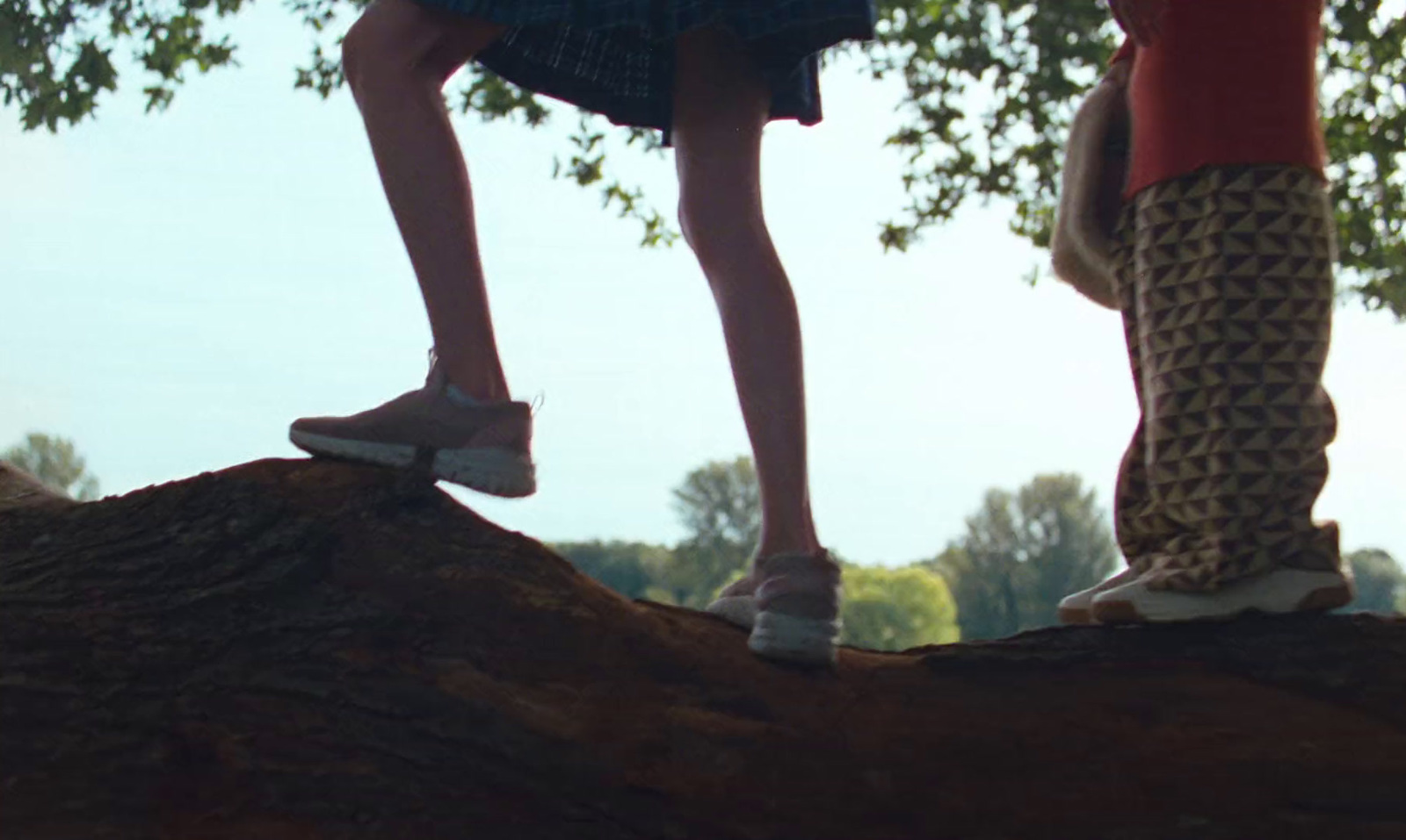 a couple of people standing on top of a tree