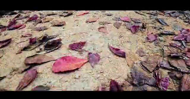 a close up of rocks and dirt on a hill