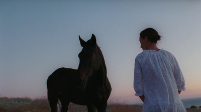 a woman standing next to a horse in a field