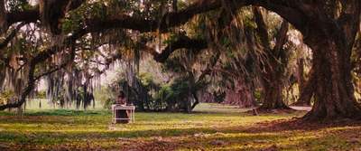 a bench under a large tree in a park