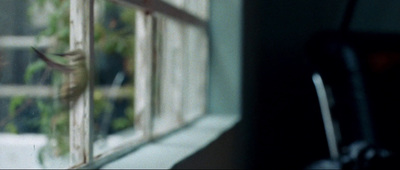 a cat sitting on a window sill looking out the window