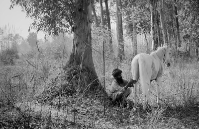 a man kneeling down next to a white horse