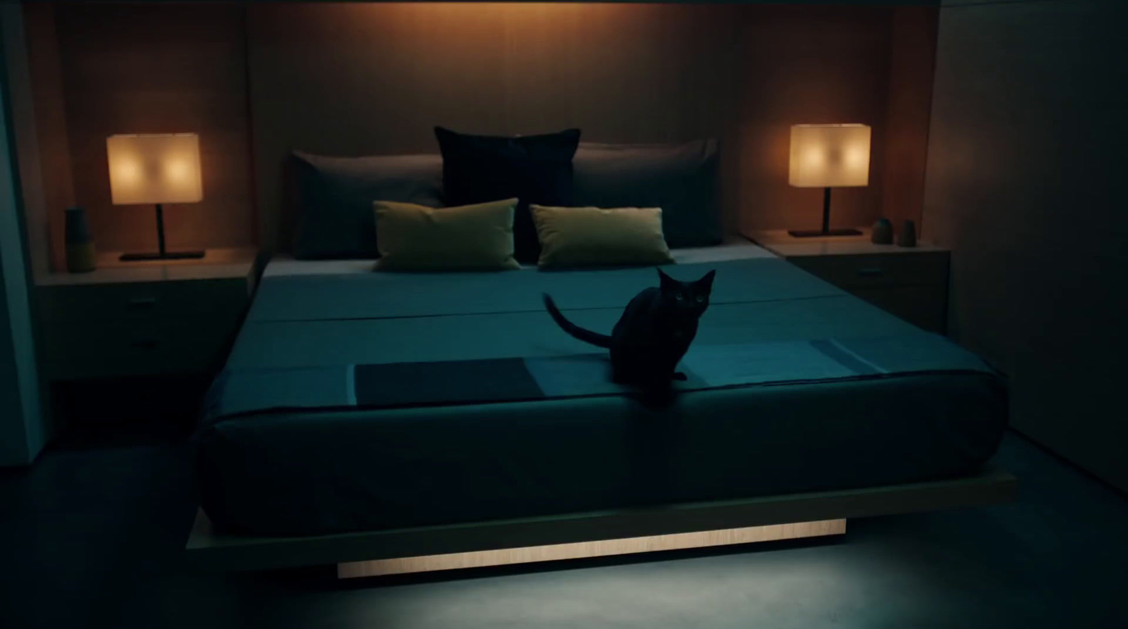 a cat sitting on a bed in a dimly lit room