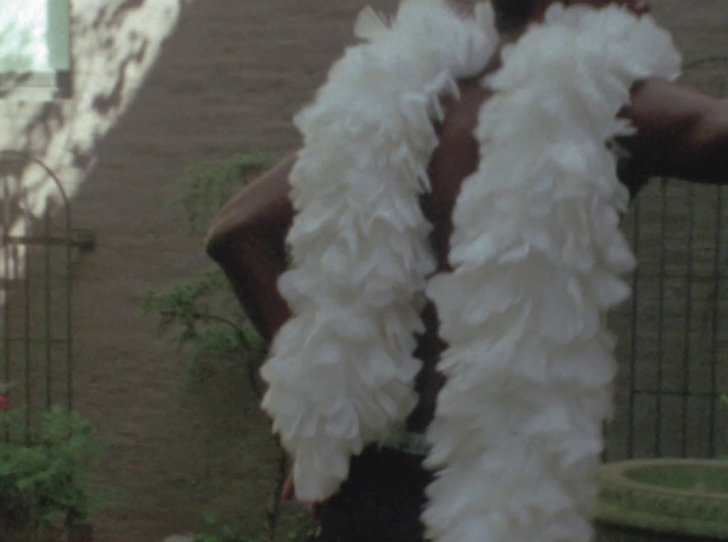 a man wearing a white feather boa around his neck