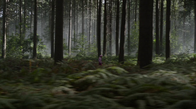 a person standing in the middle of a forest