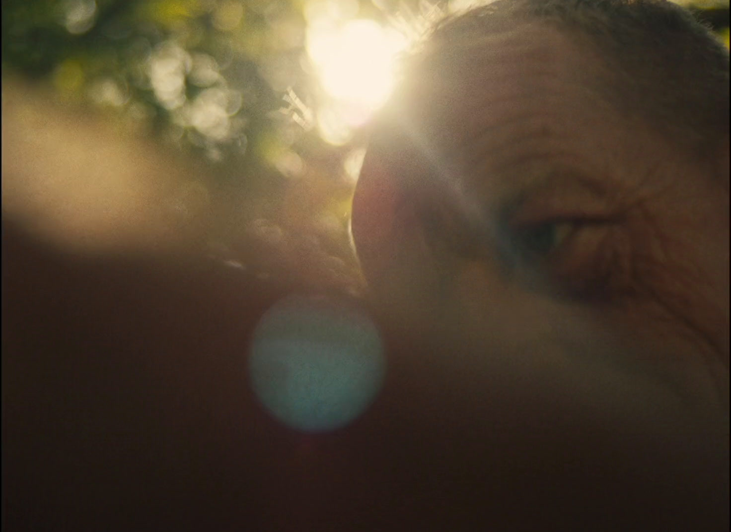 a close up of an elephant's face with the sun in the background