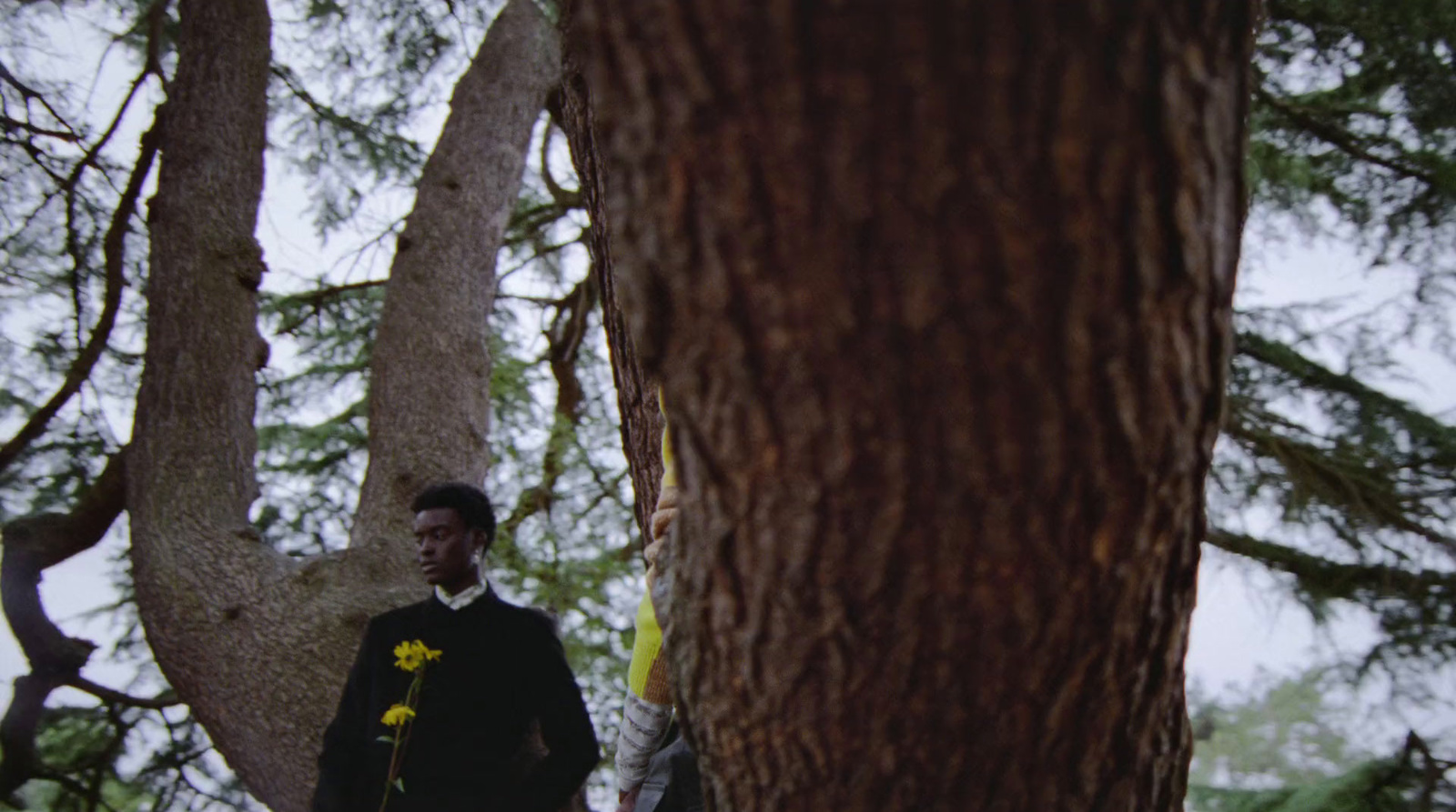 a man standing next to a tree in a forest