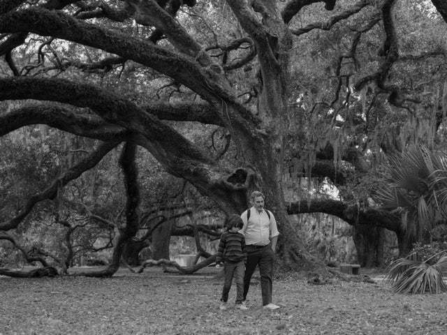 a couple of people standing under a large tree