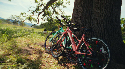 a couple of bikes parked next to a tree